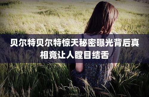 贝尔特贝尔特惊天秘密曝光背后真相竟让人瞠目结舌
