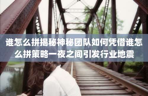 谁怎么拼揭秘神秘团队如何凭借谁怎么拼策略一夜之间引发行业地震