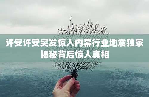 许安许安突发惊人内幕行业地震独家揭秘背后惊人真相