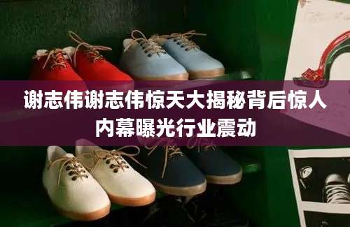 谢志伟谢志伟惊天大揭秘背后惊人内幕曝光行业震动