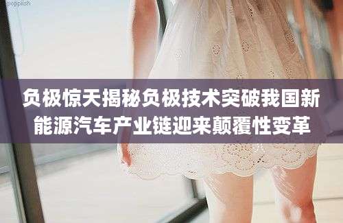 负极惊天揭秘负极技术突破我国新能源汽车产业链迎来颠覆性变革