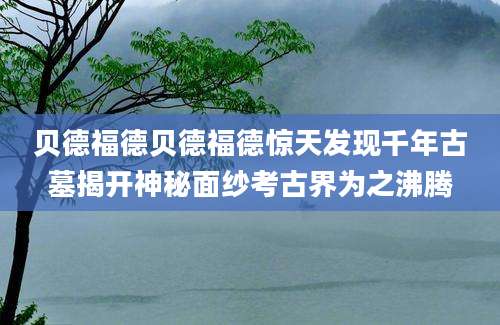 贝德福德贝德福德惊天发现千年古墓揭开神秘面纱考古界为之沸腾