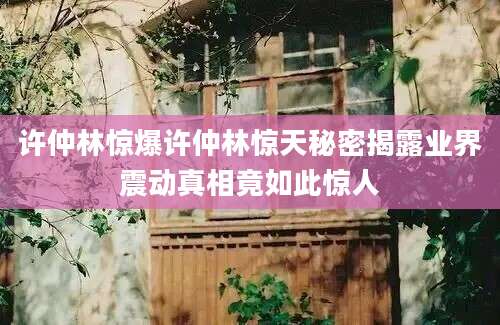 许仲林惊爆许仲林惊天秘密揭露业界震动真相竟如此惊人