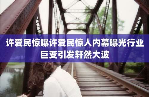许爱民惊曝许爱民惊人内幕曝光行业巨变引发轩然大波