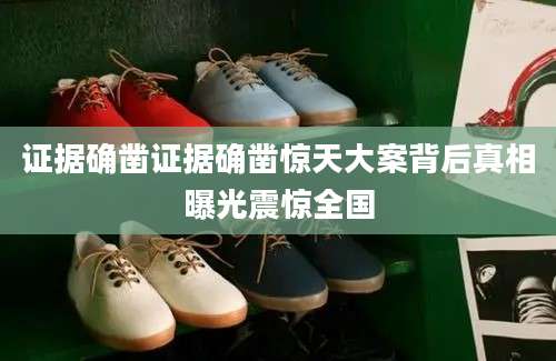 证据确凿证据确凿惊天大案背后真相曝光震惊全国