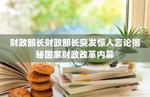财政部长财政部长突发惊人言论揭秘国家财政改革内幕