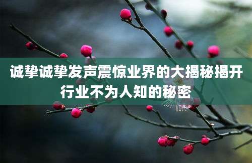 诚挚诚挚发声震惊业界的大揭秘揭开行业不为人知的秘密