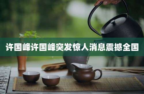 许国峰许国峰突发惊人消息震撼全国
