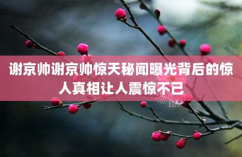 谢京帅谢京帅惊天秘闻曝光背后的惊人真相让人震惊不已