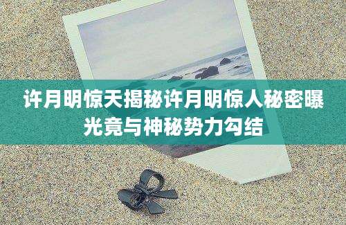许月明惊天揭秘许月明惊人秘密曝光竟与神秘势力勾结