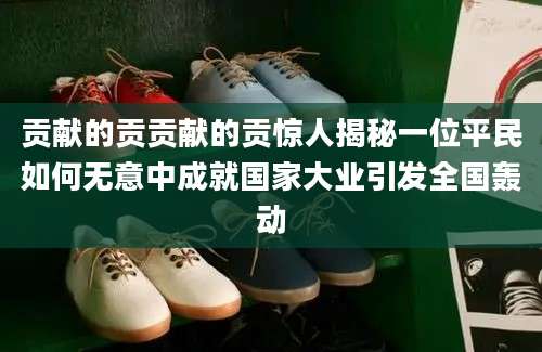 贡献的贡贡献的贡惊人揭秘一位平民如何无意中成就国家大业引发全国轰动