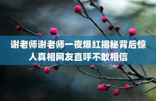 谢老师谢老师一夜爆红揭秘背后惊人真相网友直呼不敢相信