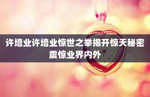 许培业许培业惊世之举揭开惊天秘密震惊业界内外