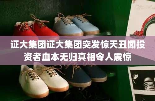 证大集团证大集团突发惊天丑闻投资者血本无归真相令人震惊