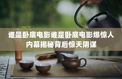谁是卧底电影谁是卧底电影爆惊人内幕揭秘背后惊天阴谋