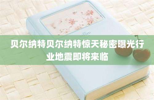 贝尔纳特贝尔纳特惊天秘密曝光行业地震即将来临