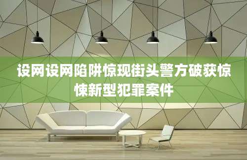 设网设网陷阱惊现街头警方破获惊悚新型犯罪案件