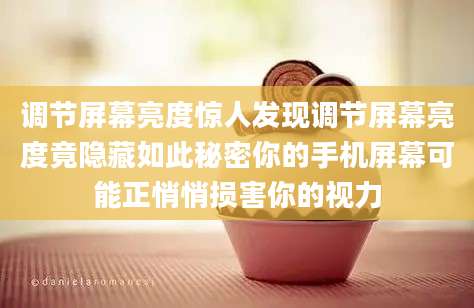 调节屏幕亮度惊人发现调节屏幕亮度竟隐藏如此秘密你的手机屏幕可能正悄悄损害你的视力
