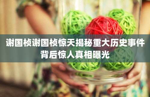 谢国桢谢国桢惊天揭秘重大历史事件背后惊人真相曝光