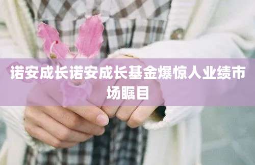 诺安成长诺安成长基金爆惊人业绩市场瞩目