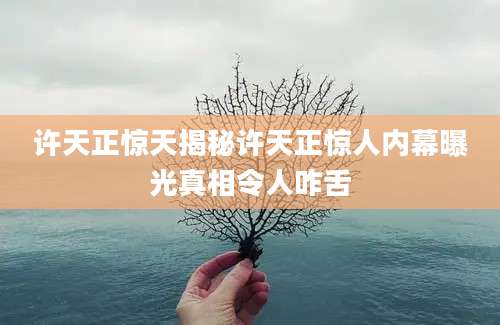 许天正惊天揭秘许天正惊人内幕曝光真相令人咋舌