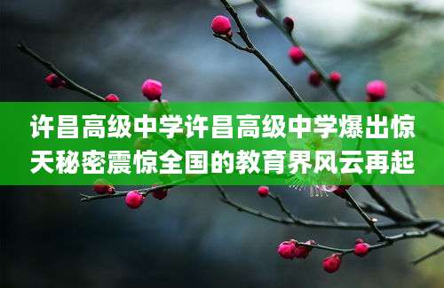 许昌高级中学许昌高级中学爆出惊天秘密震惊全国的教育界风云再起