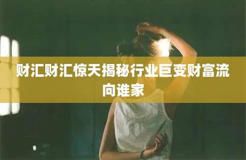 财汇财汇惊天揭秘行业巨变财富流向谁家