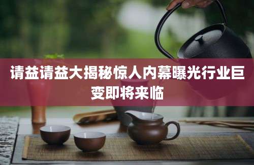 请益请益大揭秘惊人内幕曝光行业巨变即将来临