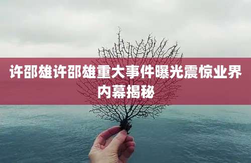 许邵雄许邵雄重大事件曝光震惊业界内幕揭秘