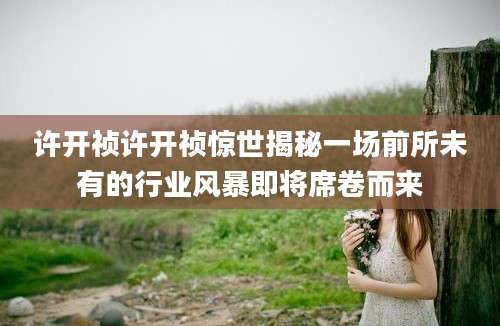 许开祯许开祯惊世揭秘一场前所未有的行业风暴即将席卷而来