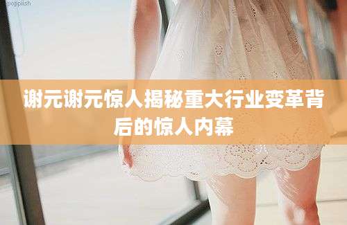 谢元谢元惊人揭秘重大行业变革背后的惊人内幕
