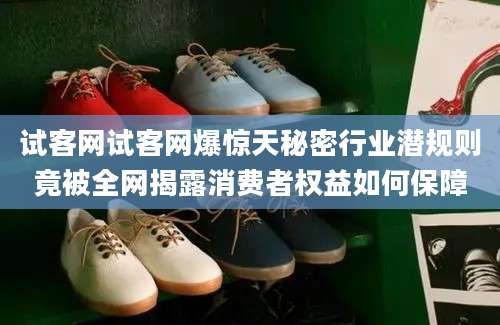 试客网试客网爆惊天秘密行业潜规则竟被全网揭露消费者权益如何保障