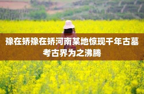 豫在矫豫在矫河南某地惊现千年古墓考古界为之沸腾