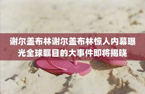 谢尔盖布林谢尔盖布林惊人内幕曝光全球瞩目的大事件即将揭晓