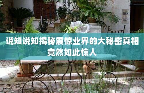 说知说知揭秘震惊业界的大秘密真相竟然如此惊人
