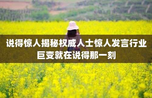 说得惊人揭秘权威人士惊人发言行业巨变就在说得那一刻