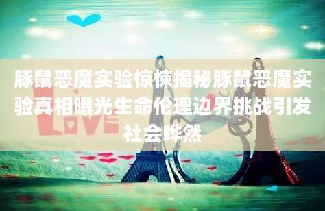 豚鼠恶魔实验惊悚揭秘豚鼠恶魔实验真相曝光生命伦理边界挑战引发社会哗然
