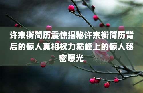 许宗衡简历震惊揭秘许宗衡简历背后的惊人真相权力巅峰上的惊人秘密曝光