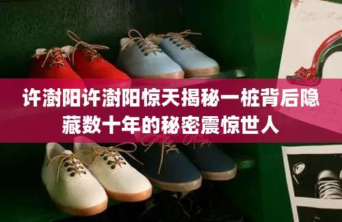 许澍阳许澍阳惊天揭秘一桩背后隐藏数十年的秘密震惊世人