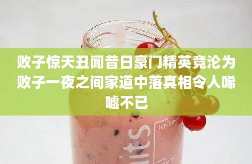 败子惊天丑闻昔日豪门精英竟沦为败子一夜之间家道中落真相令人唏嘘不已