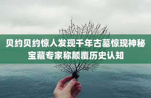 贝约贝约惊人发现千年古墓惊现神秘宝藏专家称颠覆历史认知