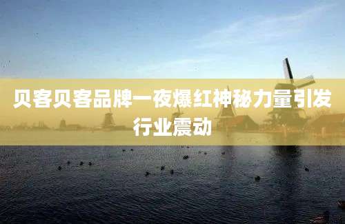 贝客贝客品牌一夜爆红神秘力量引发行业震动