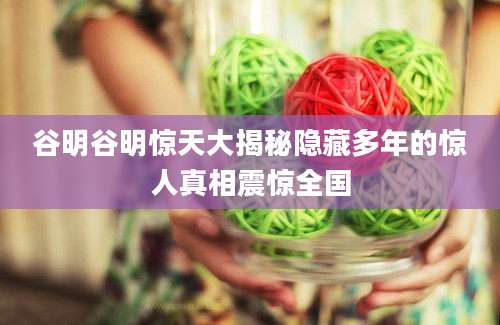 谷明谷明惊天大揭秘隐藏多年的惊人真相震惊全国