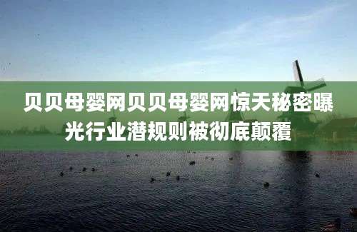 贝贝母婴网贝贝母婴网惊天秘密曝光行业潜规则被彻底颠覆