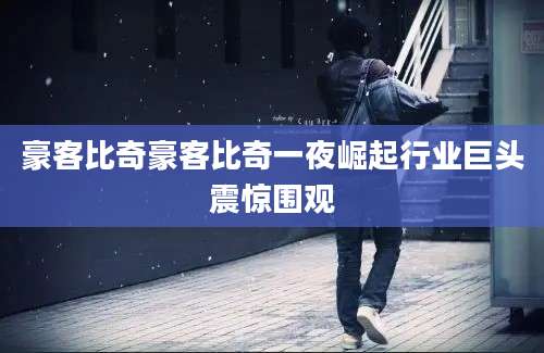 豪客比奇豪客比奇一夜崛起行业巨头震惊围观