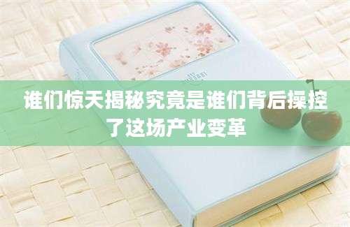 谁们惊天揭秘究竟是谁们背后操控了这场产业变革