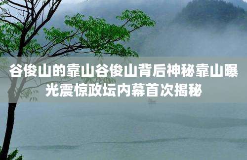 谷俊山的靠山谷俊山背后神秘靠山曝光震惊政坛内幕首次揭秘