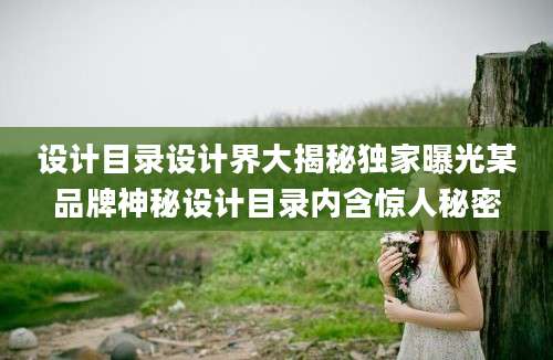 设计目录设计界大揭秘独家曝光某品牌神秘设计目录内含惊人秘密
