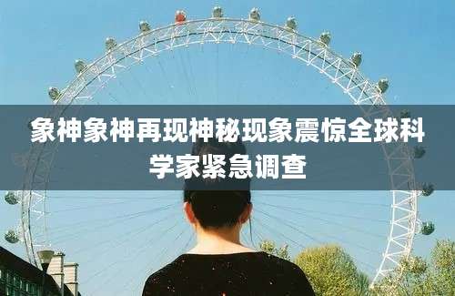 象神象神再现神秘现象震惊全球科学家紧急调查