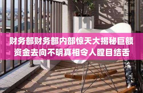 财务部财务部内部惊天大揭秘巨额资金去向不明真相令人瞠目结舌